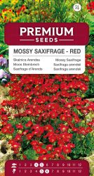 Saxifrage Mossy Red Seeds